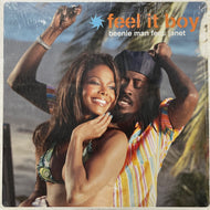 BEENIE MAN & JANET / Feel It Boy (7243 8 38846 1 2, 12inch)