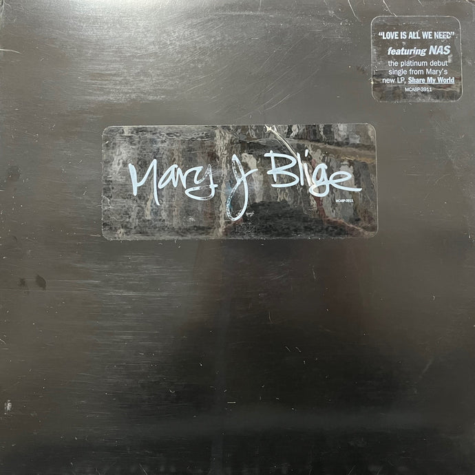 MARY J BLIGE / Love Is All We Need (MCA8P-3911, 12inch)