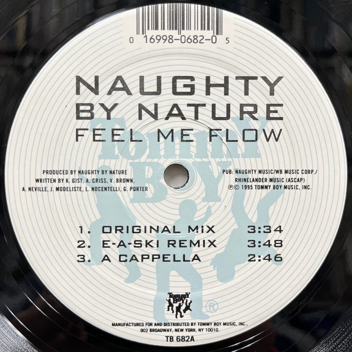NAUGHTY BY NATURE / Feel Me Flow / Hang Out And Hustle (TB 682