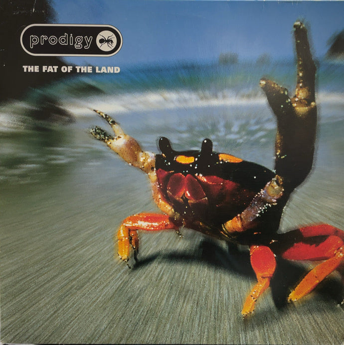 PRODIGY / The Fat Of The Land ( XL / Intercord, LP) – TICRO MARKET