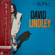 DAVID LINDLEY / El Rayo-X ( Asylum Records – P-11016Y, LP) 帯付