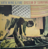 SuEARTH WIND & FIRE / System Of rvival (12AP3412, 12inch)