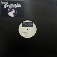 STAIND / Tormented (AE 34567, LP)
