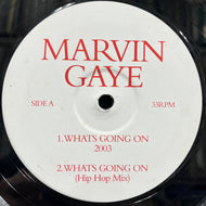 MARVIN GAYE / What's Going On 2003 (GAYE-01 Promo, 12inch)