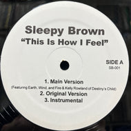 SLEEPY BROWN / This Is How I Feel / Mr. No Good (SB-001, 12inch)
