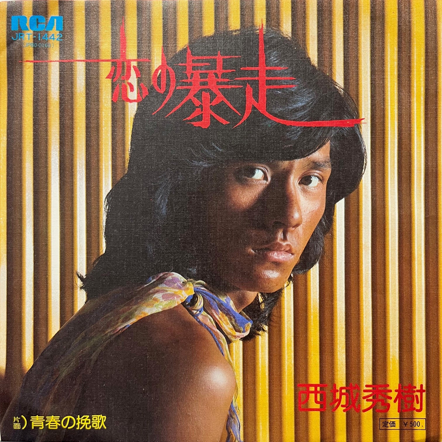 西城秀樹　いま、光の中で　悩むな、つきすすめ、青春 いま、光の中で : 悩むな、つきすすめ、青春(西城秀樹 著) / みなみ