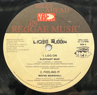 V.A. (Elephant Man, Wayne Marshall) / Liquid Riddim (VP Records – VPRL 6393, 12inch)