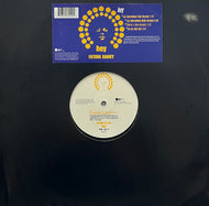 FATIMA RAINEY / Hey (WEA – 0630-18244-0, 12inch)