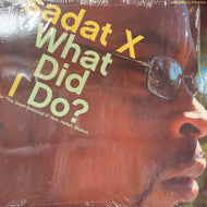 SADAT X / What Did I Do? / The Great Diamond D (12FEM16, 12inch)