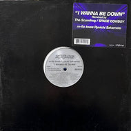 M-FLO LOVES RYUICHI SAKAMOTO / I Wanna Be Down (KNG 220, 12inch)