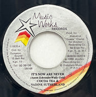 COCOA TEA & NADINE SUTHERLAND / It's Now Or Never (Music Works Records – G8935, 7inch)
