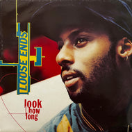 LOOSE ENDS / Look How Long (DIX 94, LP)