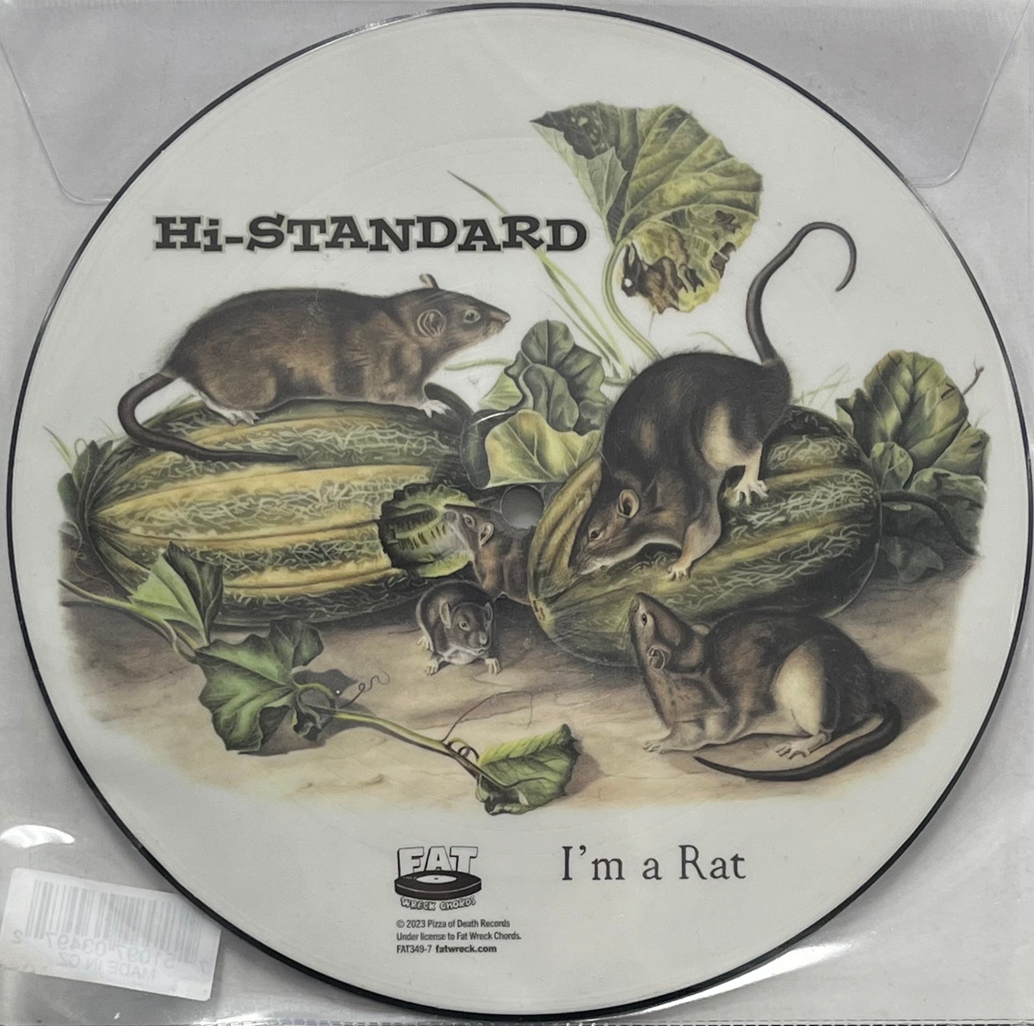 HI-STANDARD (ハイ スタンダード) / I'M A RAT (Fat Wreck Chords