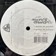 MOUNTAIN BROTHERS / Galaxies: The Next Level / The Adventures Of...  (MB1998V, 12inch)