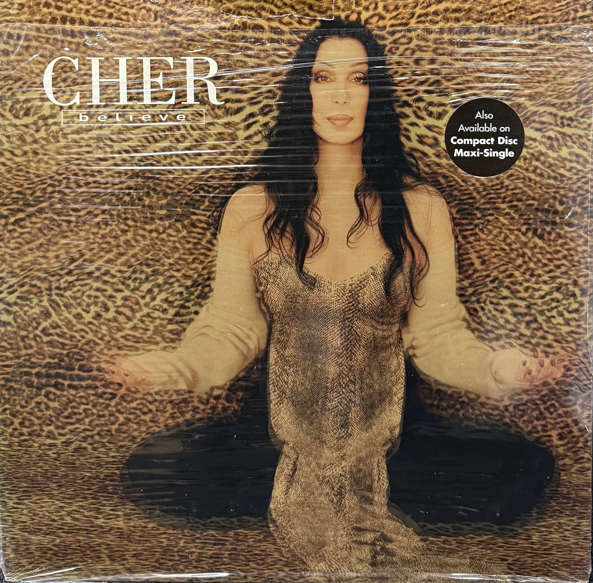 CHER / Believe (Warner Bros – 0-4457, 12inch×2) – TICRO MARKET