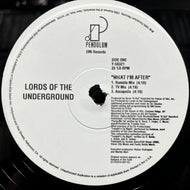 LORDS OF THE UNDERGROUND / What I'm After (Reissue, 12inch)