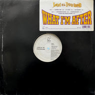 LORDS OF THE UNDERGROUND / What I'm After (Y-58321, 12inch)