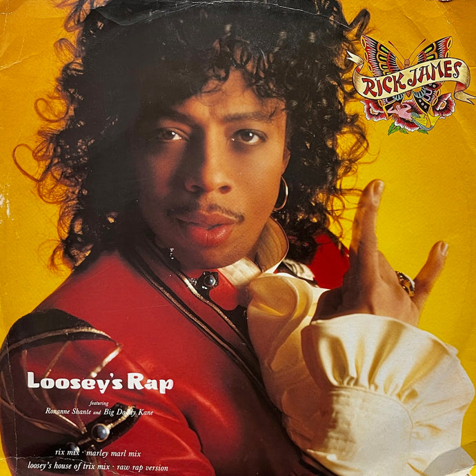 RICK JAMES / Loosey's Rap (W 7885 T, 12inch)