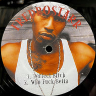 FREDRO STARR - EMINEM / Perfect Bitch / What If I Were White? (none, 12inch)