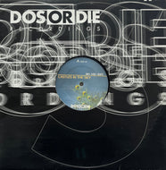 Ian Van Dahl / Castles In The Sky (Dos Or Die Recordings – DOS 141, 12inch)
