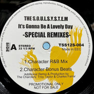S.O.U.L. S.Y.S.T.E.M. / It's Gonna Be A Lovely Day -Special Remixes- (TSS12S-004, 12inch)
