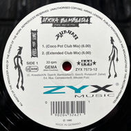 AFRIKA BAMBAATAA PRESENTS KHAYAN / Feel The Vibe (ZYX 7573-12 12inch)