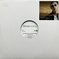 STEVIE HOANG / All Night Long - DJ Mike-Masa Remix (AQ023, 12inch)