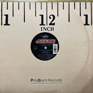 D.J. CHUCK CHILLOUT & KOOL CHIP / Rhythm Is The Master (872 567-1, 12inch)