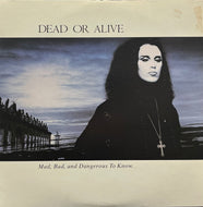 DEAD OR ALIVE / Mad, Bad And Dangerous To Know (Epic – 28・3P-769, LP)