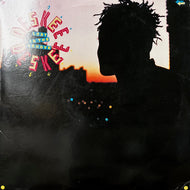 DESKEE / Lost In The Groove (07863 62071-1, 12inch)
