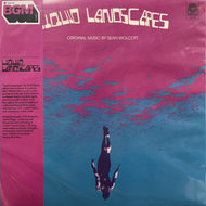 Sean Wolcott / Liquid Landscapes (Clockwork – CLW-019, LP)