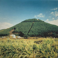 奥田民生 / 股旅 (inc. さすらい ) Sony, SRJL1010, LP
