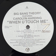 BIG BANG THEORY / When U Touch Me (Z Records – ZEDD 12 024, 12inch)