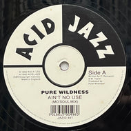 PURE WILDNESS / Ain't No Use (Acid Jazz – JAZID 49T, 12inch)