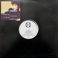 JUDY CHEEKS / Respect (Sampler) 12TIV 36, 12inch