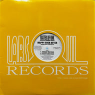 MASTERS OF FUNK / Happy Ever After / A Party Ain't A Party (Labsoul, LSR-017, 12inch)