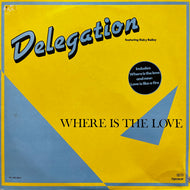 DELEGATION / Where Is The Love (The Promise Of Love) (TB 090.30061, LP)