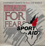TEARS FOR FEARS / Everybody Wants To Run The World ( Mercury – RACE 112, 12inch)