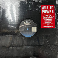 WILL TO POWER / Say It's Gonna Rain (New Remixes) 49 07589, 12inch