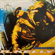 R. KELLY / You Remind Me Of Something (JIVE T 388, 12inch)