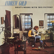 ANDREW GOLD / What's Wrong With This Picture? (Asylum Records – 7E-1086, LP)