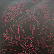 DIMITRI FROM PARIS / In The House Of Love (Part 1) (ITH Records – ITHLOVE01 LP1, 2LP)