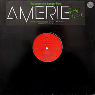 AMERIE / Gotta Work (CAS 709963, 12inch)