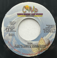 DAMIAN MARLEY / Suzie (Caribbean Management, DSR 4060, 7inch)
