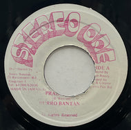 BURRO BANTON / Praise Jah (Stereo One, 7inch)