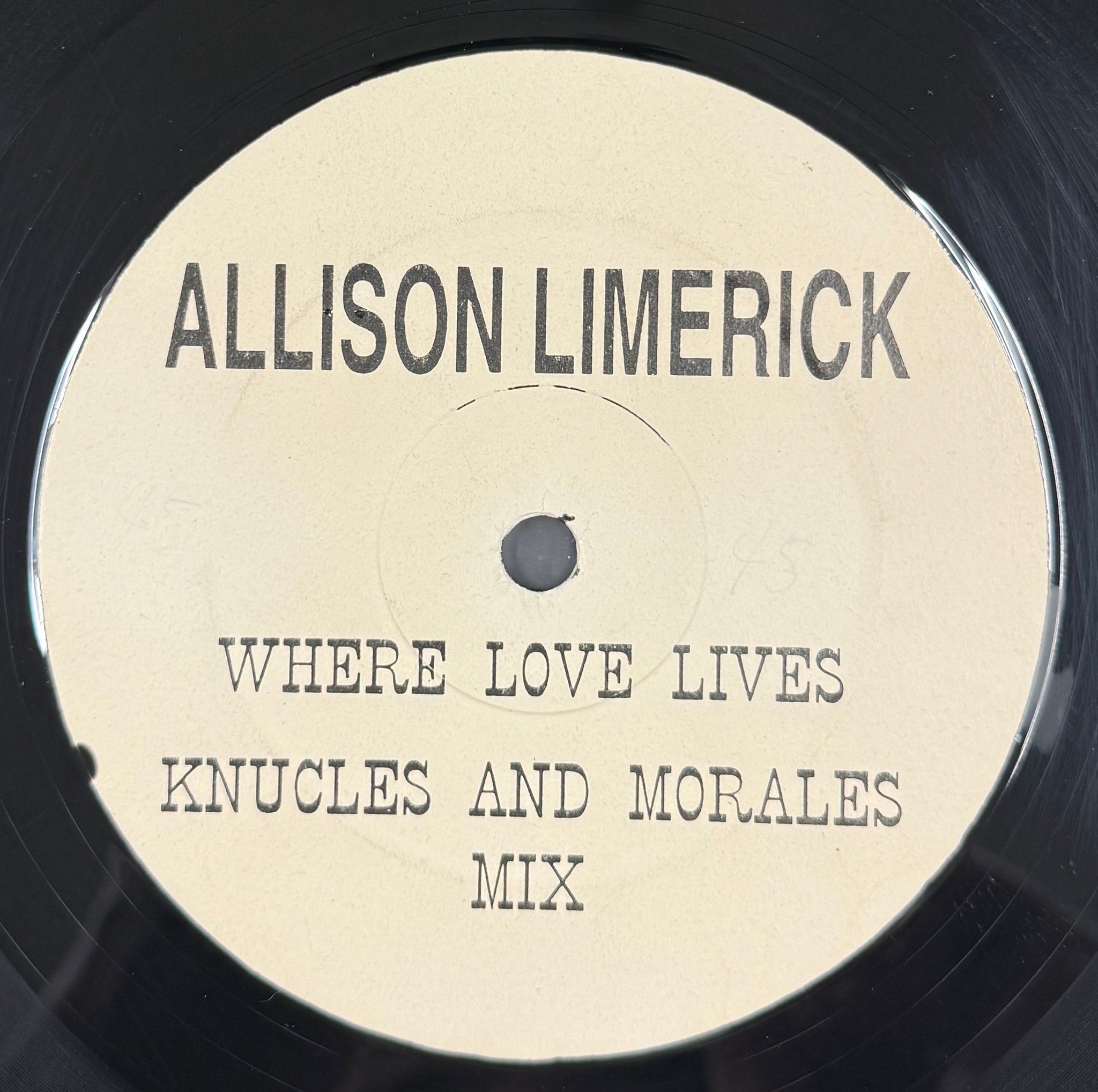 ALISON LIMERICK / Where Love Lives ( AZ 01, 12inch) – TICRO MARKET