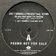 JOE T. VANNELLI PROJECT / Do You Feel What I'm Feeling (Dream Beat – DB 100, 12inch×2) Promo