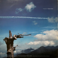 THAWFOR / False Idols / Rappers & Chemicals (888-12012, 12inch)
