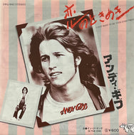 ANDY GIBB / I Just Want To Be Your Everything / In The End 恋のときめき (RSO – DWQ 6042, 7inch)