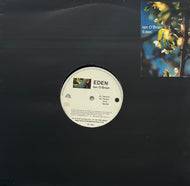 IAN O'BRIEN / Eden (Peacefrog Records – PF IOB3, 12inch)